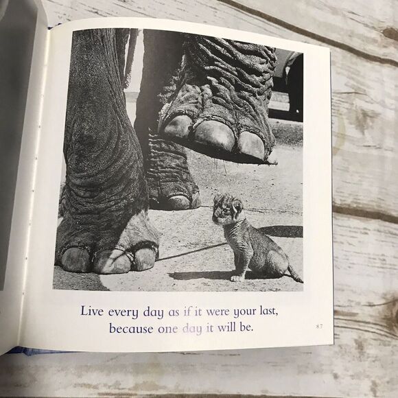 The Blue Book Bradley Trevor Greive A Lesson in Cheering Yourself Up Book - Picture 6 of 9